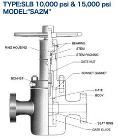 slab gate valve
